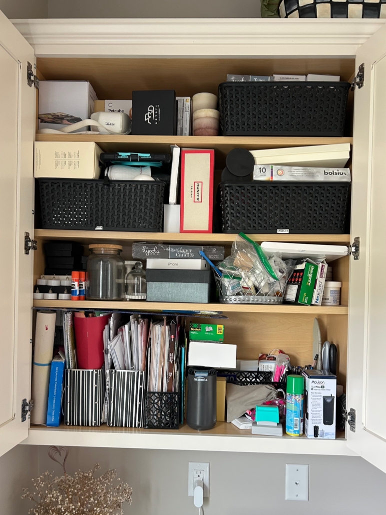 office cabinet 1 before